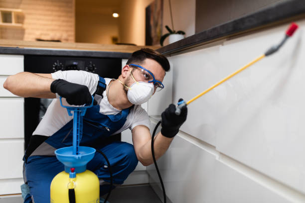 Best Termite Control Services  in Long Branch, NJ