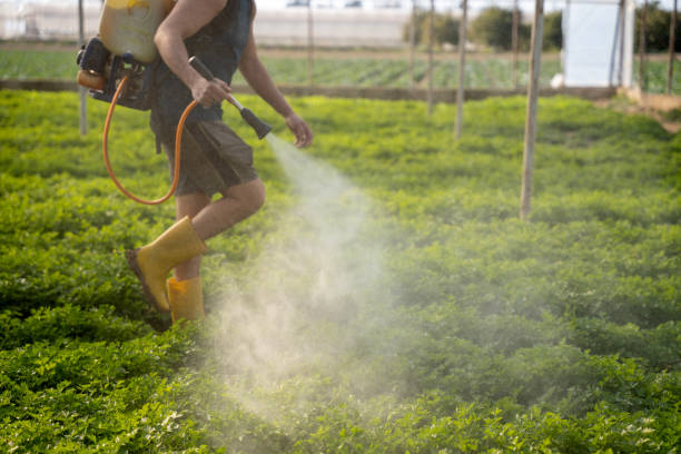 Best Pest Control Cost  in Long Branch, NJ