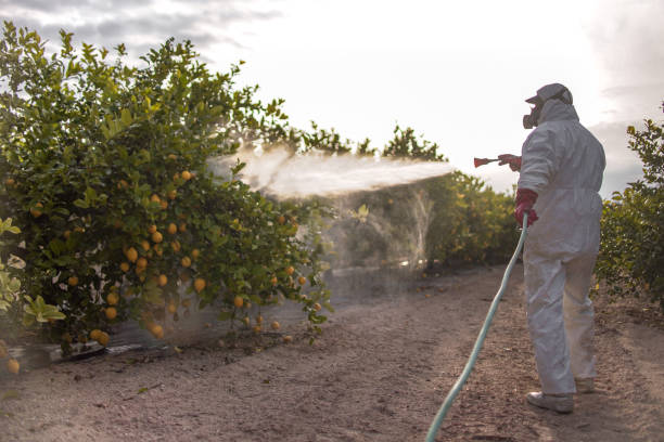Best Pest Inspection Near Me  in Long Branch, NJ