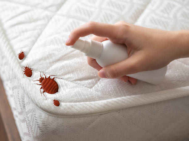 Best Pest Removal Services  in Long Branch, NJ