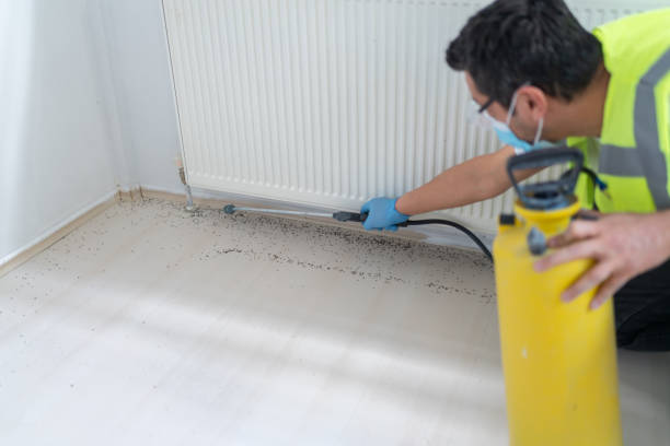 Best Affordable Pest Control Services  in Long Branch, NJ