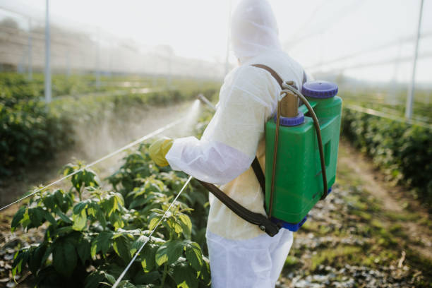 Best Residential Pest Control  in Long Branch, NJ
